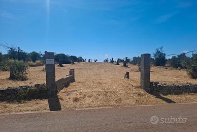 Terreno agricolo