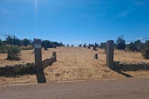Terreno agricolo
