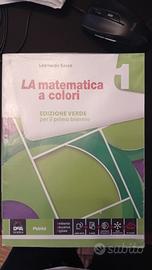 la matematica a colori edizione verde 1