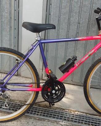 Bicicletta 