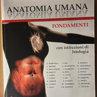 Libro anatomia umana fondamenti edi ermes