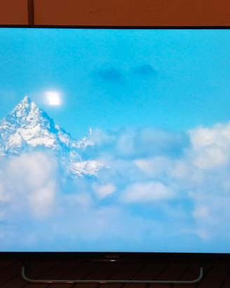 TV Sony Bravia 55 pollici
