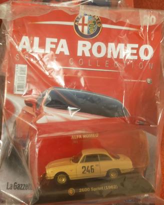 Collezione modelli in scala 1.43