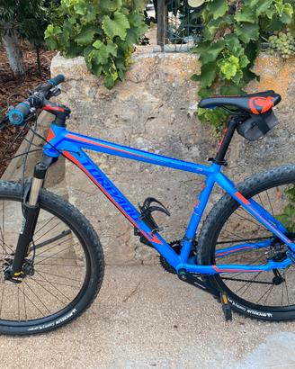 Torpado Uranus 29”