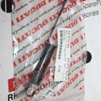 Molla Cavalletto Cent. X Ducati 907 i.e 2002 Paso