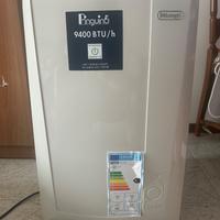 Condizionatore pinguino