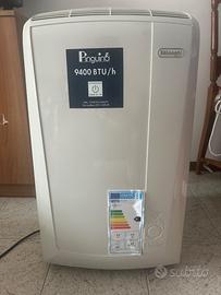 Condizionatore pinguino