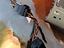 Immagine 6