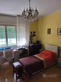 Singola per studente disponibile dal 1 luglio