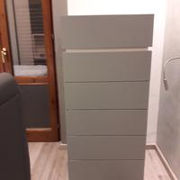 SETTIMINO SALVIA NUOVO