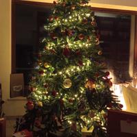 Albero di Natale 270cm