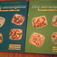 Enciclopedia Vita meravigliosa