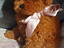 Immagine 4