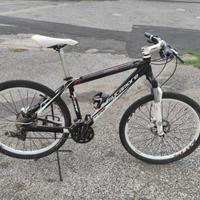Mtb frw sycamore