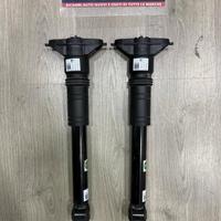 Coppia 2 Ammortizzatori Assale Posteriore E Ricamb