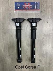 Coppia 2 Ammortizzatori Assale Posteriore E Ricamb