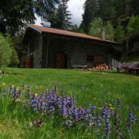 Chalet nel bosco