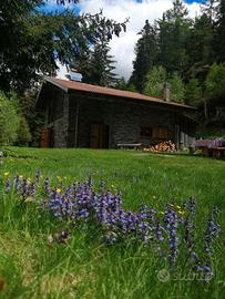 Chalet nel bosco