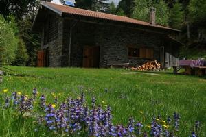 Chalet nel bosco