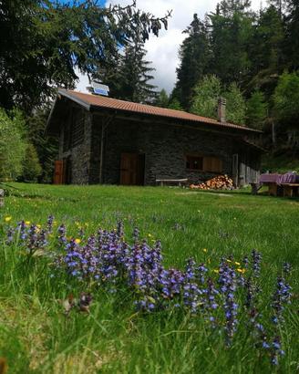 Chalet nel bosco