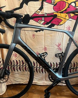 Bici da endurance