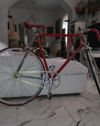 Pinarello Catena single speed Campagnolo