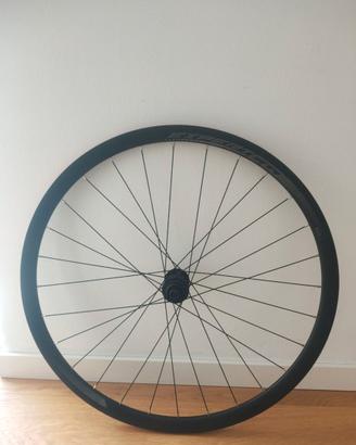 ruota