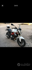 benelli 302