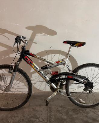 bicicletta