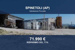 Immobile in asta di 83348 m² a Spinetoli