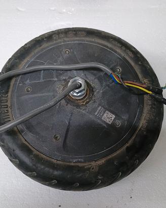 Ninebot motore per monopattino SWX36V300W