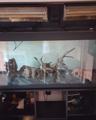 Acquario 300 lt