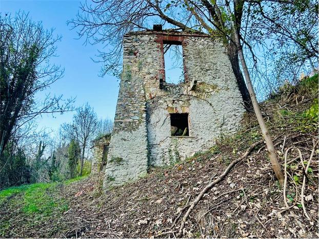 Ampio rustico in pietra con 18.000 mq di terreno.