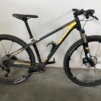 Bici mtb Focus Raven 29R