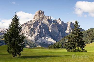 Estate 2026 S.Stefano di Cadore Dolomiti