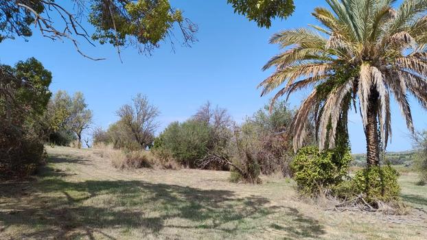 Territorio di Siracusa, panoramico vicino Floridia