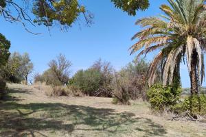 Territorio di Siracusa, panoramico vicino Floridia