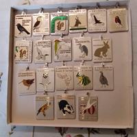 Medaglie “la Marcia Verde”