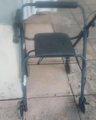 carrello disabili