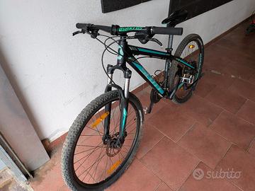 Scott Scale jr 26 ragazzo