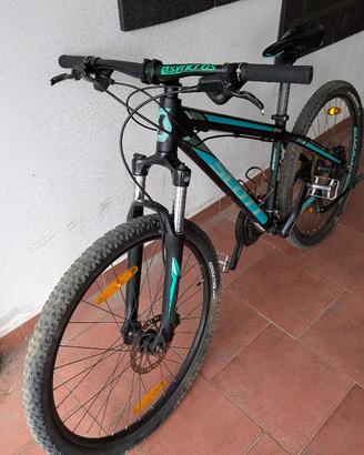 Scott Scale jr 26 ragazzo