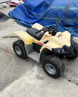 Mini quad dinli