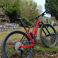 TREK PROCALIBER 9.5 CARBON 2024