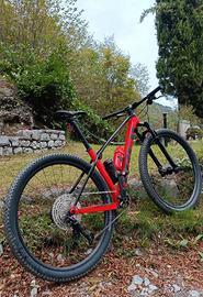 TREK PROCALIBER 9.5 CARBON 2024