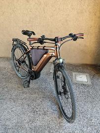 E-bike elettrica 