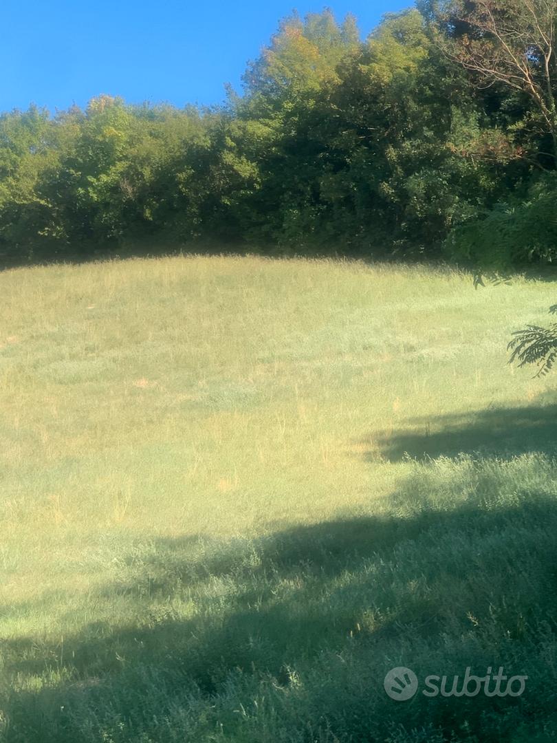 Terreno Agricolo - Vista 3