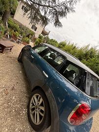 Mini 2010