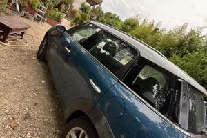 Mini 2010