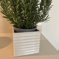 Vaso ceramica bianco