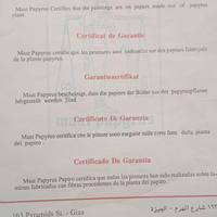 stampe su papiro documentate. 